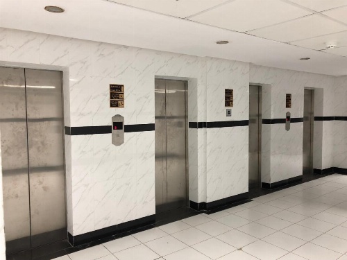 The Blue Bow image 22